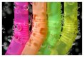 /album/colorky/a32ee303742-60977903-o2-jpg/